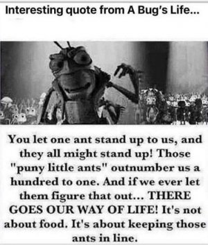 bugs life.jpg