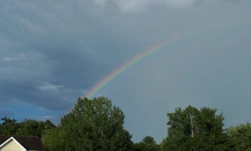 rainbow Aug6,2022.jpg