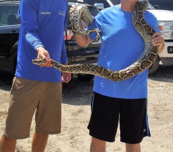 Python (2).JPG