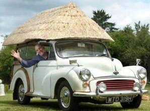 thatchback.jpg thatchback.jpg