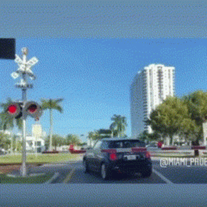 brightlien-brightline 3.gif brightlien-brightline 3.gif