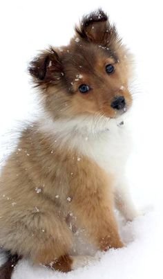 80b6d6764ab84f59c31035c65f972057[1].jpg