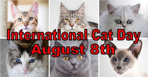 Intl-Cat-DayAug8jpg.jpg