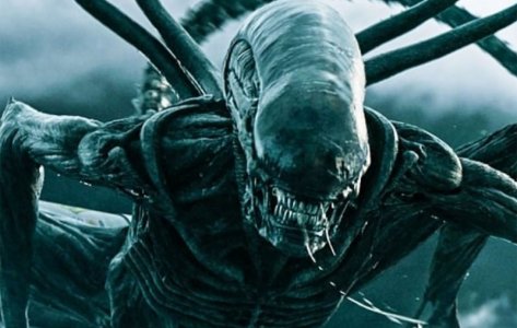alien.jpg