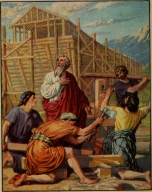 noah.jpg