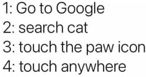 298197590_610917323724235_6322441433392085277_n.jpg