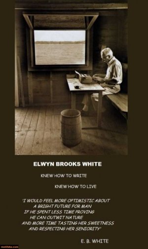 white-knew-how-live-write-demotivational-posters-1358703338.jpg