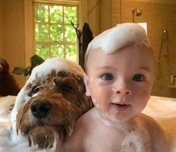 bubbles.jpg