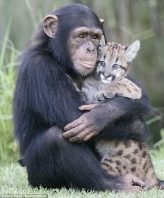 ae27643b0b11ca7e7ec535ea56de20d4--bestfriends-bffs.jpg
