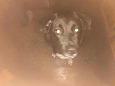 IMG_E0240.jpeg