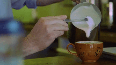 giphy (1).gif