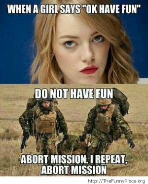 Mission-Abort.jpg