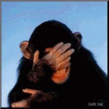 35ea53bbff3fc813f48cd979f71e6efe[1].gif