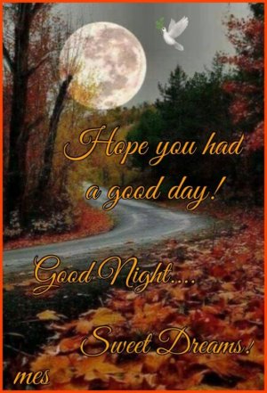 60fa4942384f505d5a5bd165782a9e77[1].jpg