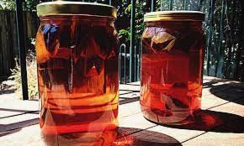 sun tea.jpg