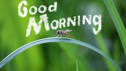 funny-and-creative-ways-to-say-good-morning.jpg