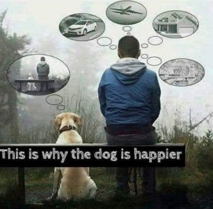 happy.jpg