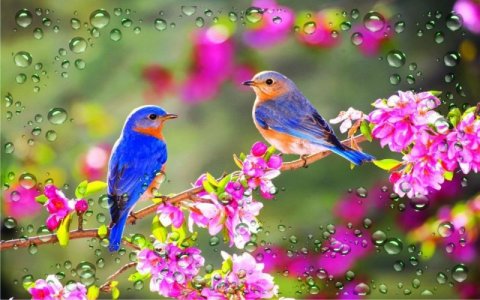 9-94750_beautiful-spring-nature.jpg