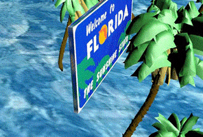 fl 3.gif