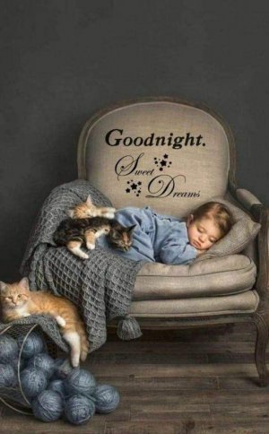 e7af58a4b1416bdaf49f7424fb2c81bf[1].jpg