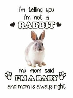 811bee25f613aa1e744ac02c8e7ddf5c[1].jpg
