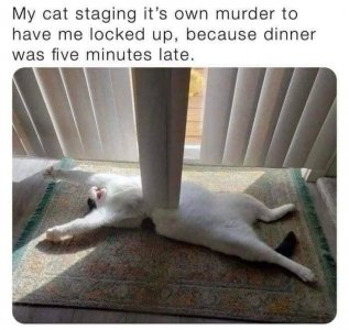 E4E239F1-7E9D-4338-9C0C-F66C5DDAD2B4.jpeg