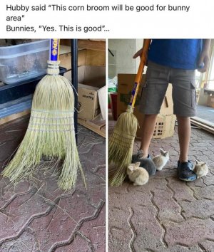 broom.jpg