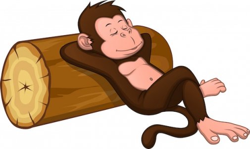 cute-monkey-is-sleeping_70172-519.jpg