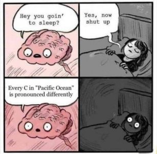 brain.jpg