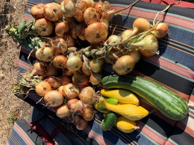 veggies.jpg