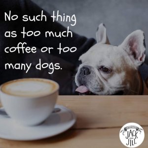 FB_IMG_1660115170631.jpg