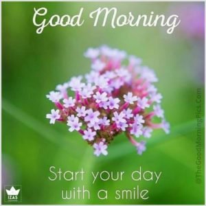 New-Beautiful-Good-Morning-Images-pics-for-download-with-quotes-300x300.jpg