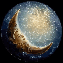8EB9594B-4717-4AF9-A51A-E8A705D45B57.gif