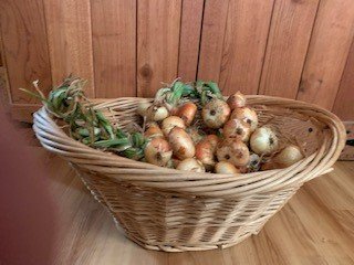 veggies.jpg