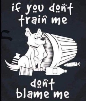 dont train.dont blame.jpg