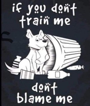 dont train.dont blame.jpg