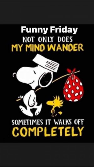 FB_IMG_1660916569598.jpg