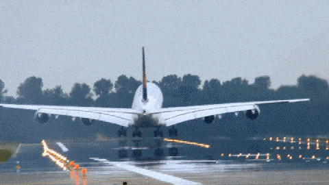 5EEC969A-49B3-4D53-9A8F-D08C78319FEF.gif
