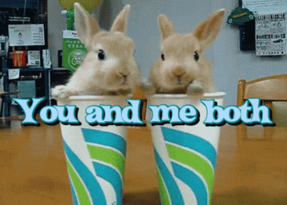 you-and-me-both-funny-bunny[1].gif