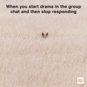 When-you-start-drama-in-the-group-chat-and-then-stop-responding-meme-509108473.jpg