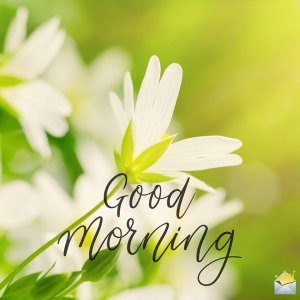 8f5c9db143b24e776ad3d9b93c2bfa22.jpg