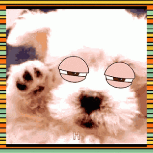382EFB11-7ABF-4A6F-8582-84984095134C.gif