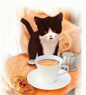 f701eb3d9c551a5cdd780f4eaaede138.gif