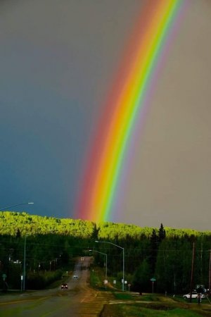 rainbo.jpg