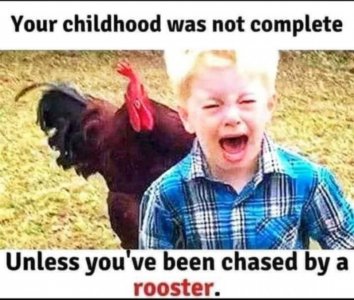 FB8F7AC0-C1FD-4FC9-AF64-C363CE9D2F14.jpeg