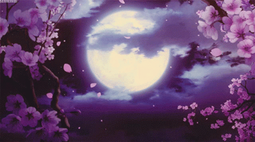beautiful-night.gif