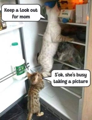 FB_IMG_1661212975613.jpg