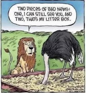 lion-ostrich.jpg