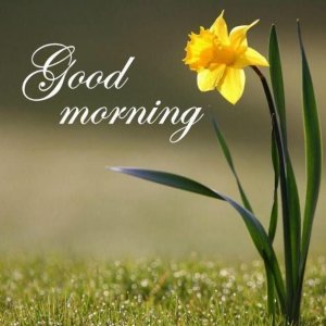 b6b0a5bdae82133b3dfa93087d726cb0.jpg