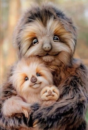 cuteanimal.jpg